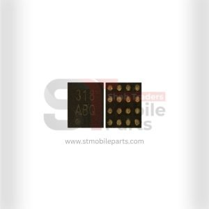 318 Audio IC