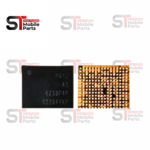 PG12 POWER IC