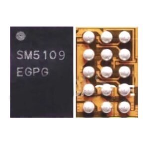 SM5109 DISPLAY IC