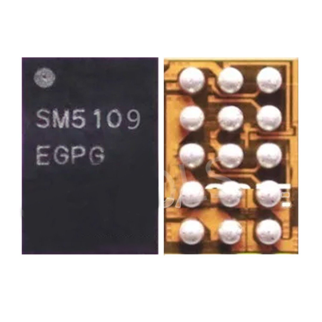 SM5109 DISPLAY IC