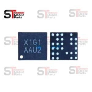 X1G1 IC